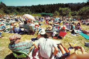 Crowd from rear